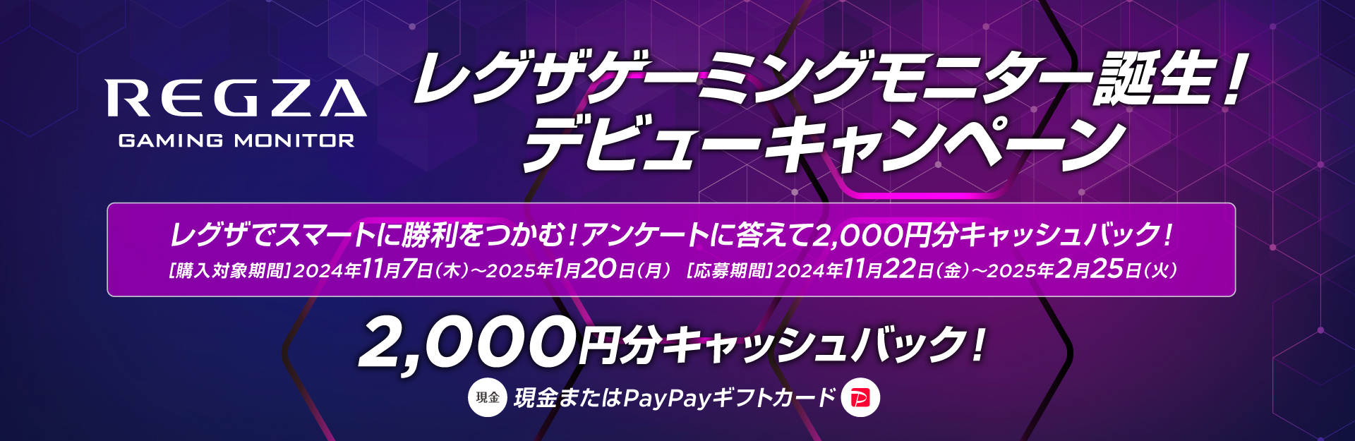 レグザゲーミングモニター誕生！デビューキャンペーン